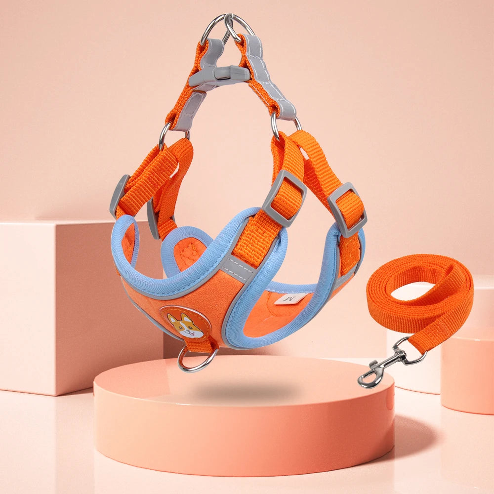 Harnais avec laisse pour chien de couleur orange avec laisse assortie. Harnais orange et bleu de boutiquechien