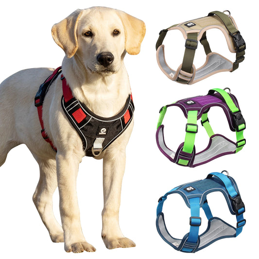 Harnais chien Y résistant pour tout les chiens de plusieurs couleurs