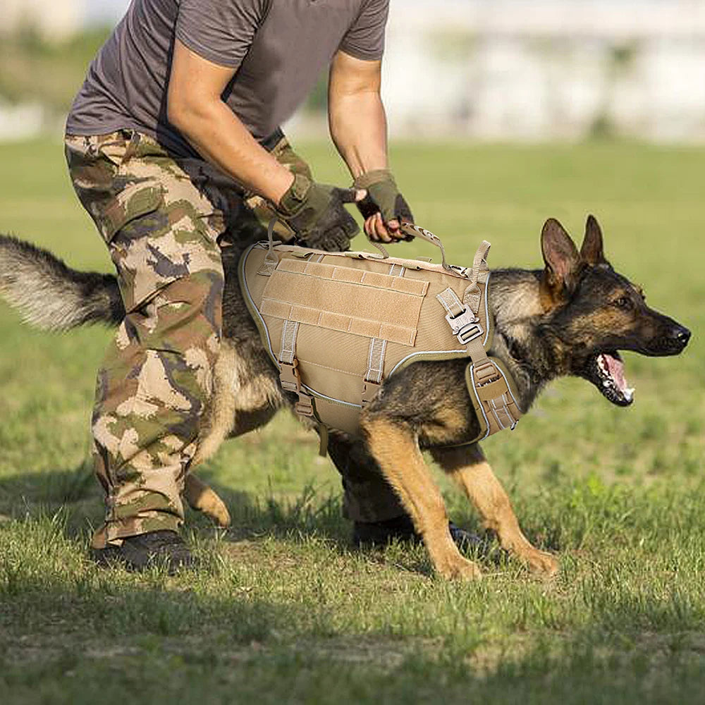 Harnais pour chien résistant et durable avec de multiples poignées. Le chien fait de l'entraînement dans l'herbe verte .Image produit Boutiquechien