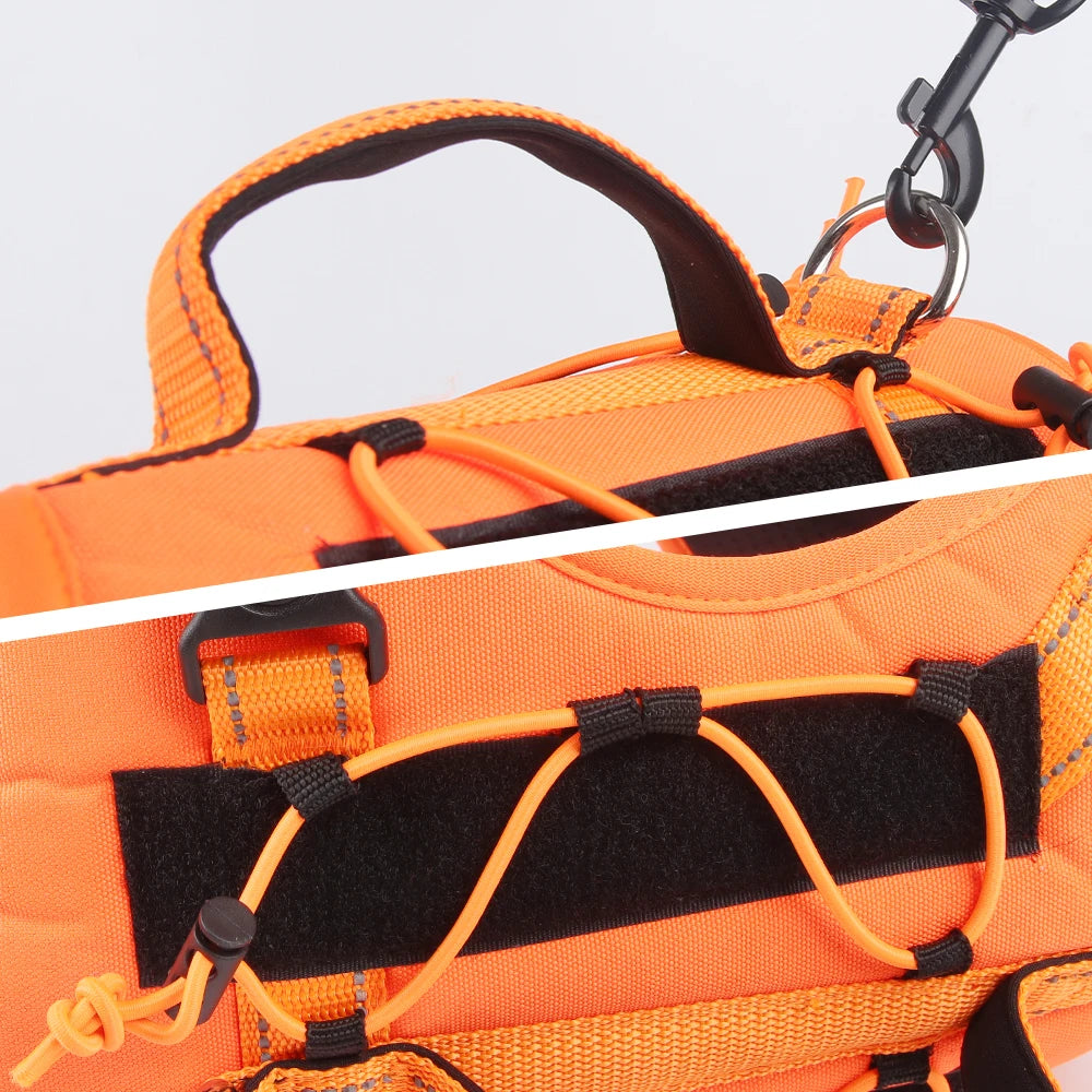 Harnais pour chien résistant et durable avec tous les accessoires design. Image produit Boutiquecheien