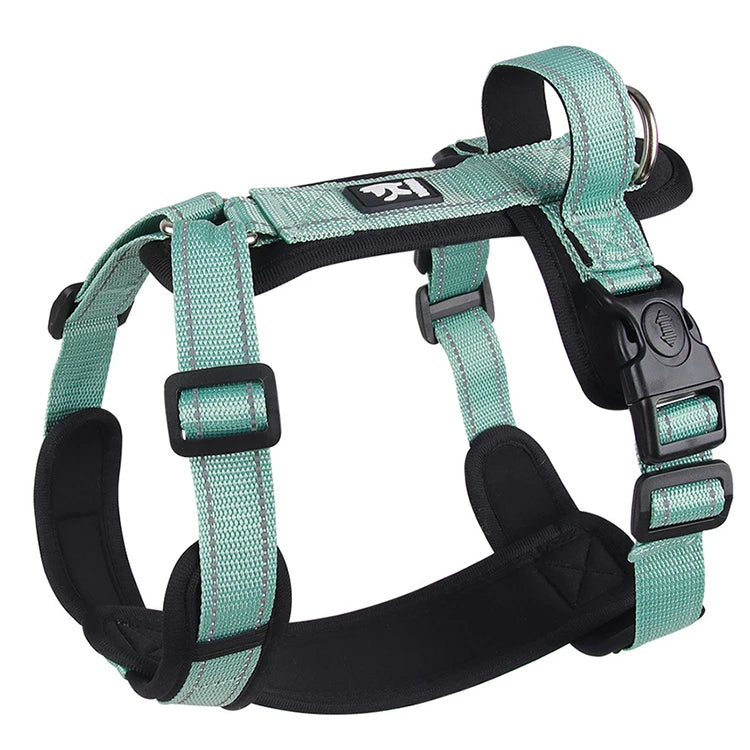 harnais chiot de couleur vert et noir avec attache réglable et poignée. Image produit Boutiquechien