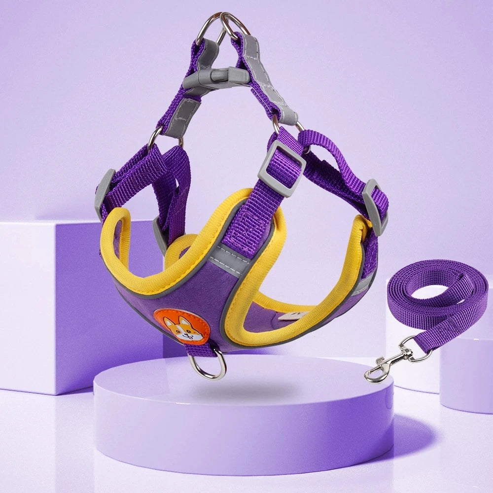 harnais violet pour chiot de couleur violet et jaune avec laisse assortie. Image produit Boutiquechien