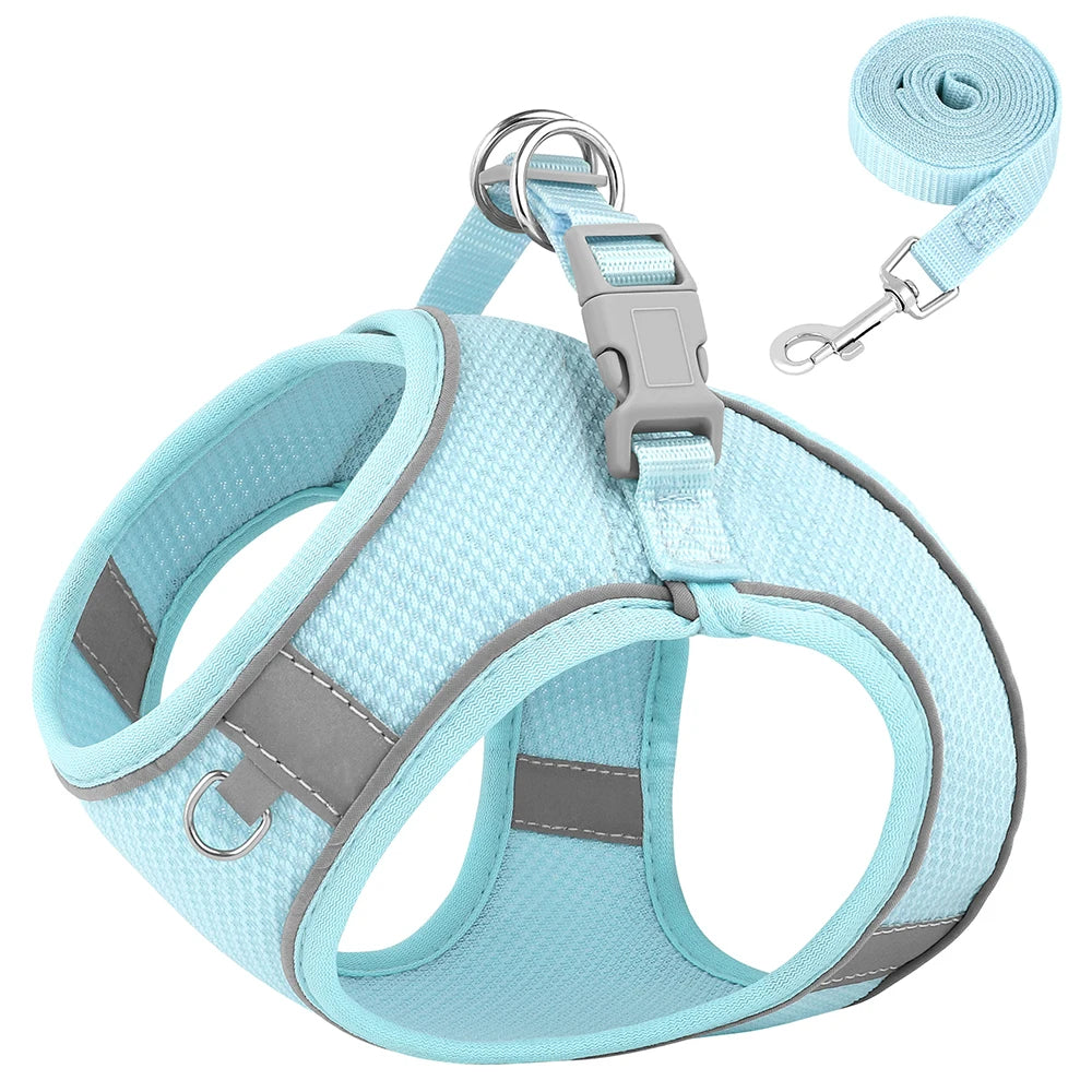 Harnais pour chihuahua de couleur bleu et gris respirant avec laisse assortie. Le harnais pour petit chien possèdent de nombreuses attaches avec des bandes réfléchissantes. Image produit Boutiquechien