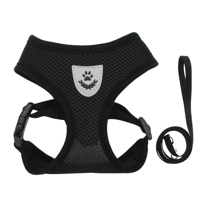 Harnais pour chien en nylon respirant de couleur noir avec laisse assortie. Image produit Boutiquechien