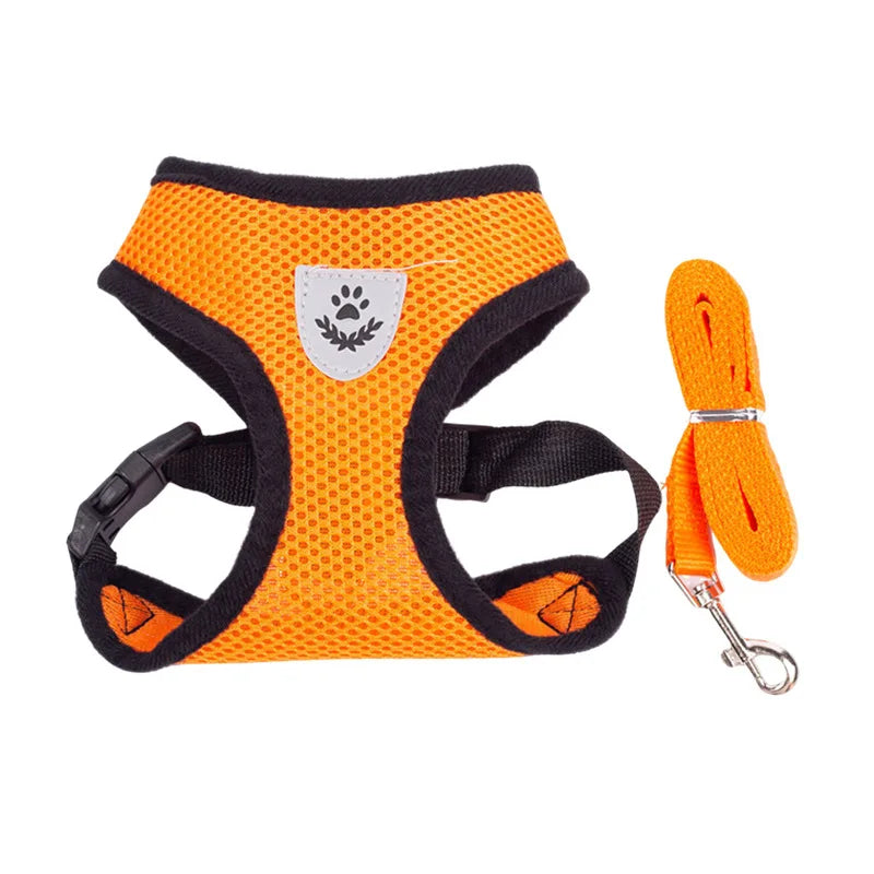 Harnais pour chien en nylon respirant de couleur orange avec laisse assortie. Image produit Boutiquechien