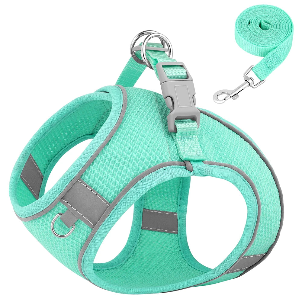 Harnais pour chihuahua de couleur turquoise et gris respirant avec laisse assortie. Le harnais pour petit chien possèdent de nombreuses attaches avec des bandes réfléchissantes. Image produit Boutiquechien