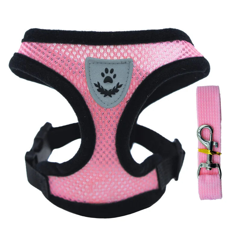 petit harnais avec laisse pour chiot de couleur rose assortie fait en nylon. Image produit Boutiquechien