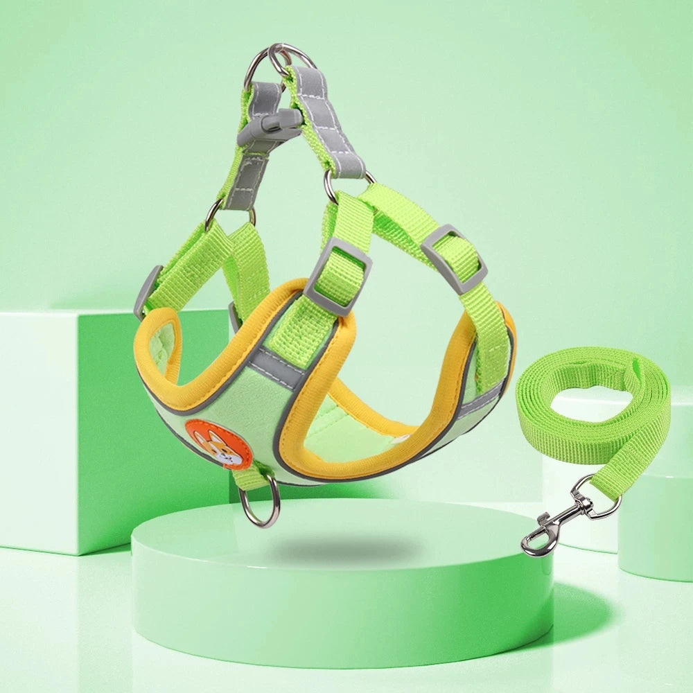 Harnais chiot de couleur vert claire avec laisse assortie. Image produit Boutiquechien