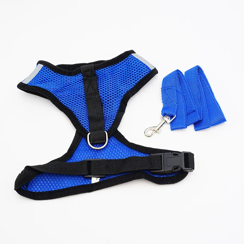 petit harnais avec laisse pour chiot de couleur bleu assortie fait en nylon de dos. Image produit Boutiquechien