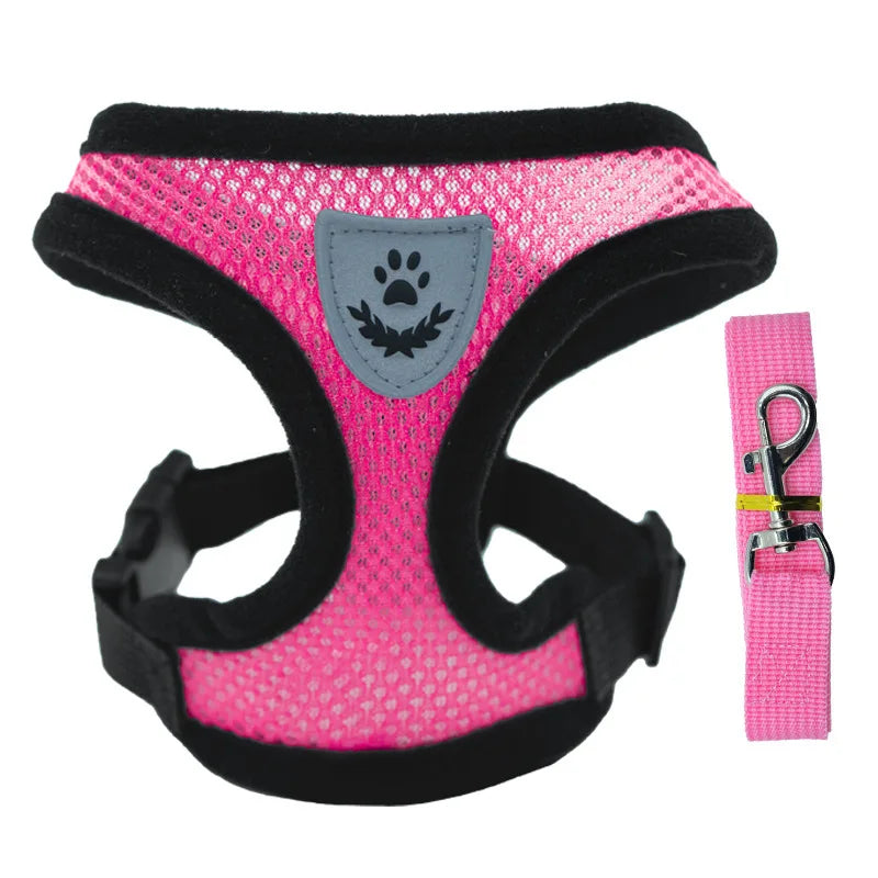 petit harnais avec laisse pour chiot de couleur rose assortie fait en nylon. Image produit Boutiquechien