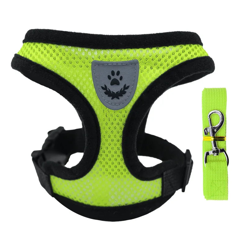 petit harnais avec laisse pour chiot de couleur vert assortie fait en nylon. Image produit Boutiquechien