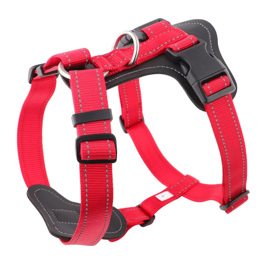 Harnais cuir pour gros chien de couleur rouge et noir