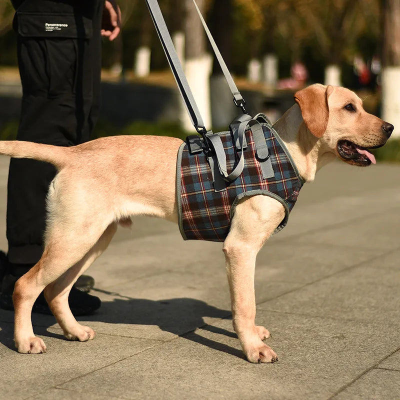 Harnais pour chien de maintient de couleur gris et bleu avec laisse de maintient pour soutenir son chien. Le chien est de couleur blanc tenu par une personne habillé en noir. Image produit Boutiquechien