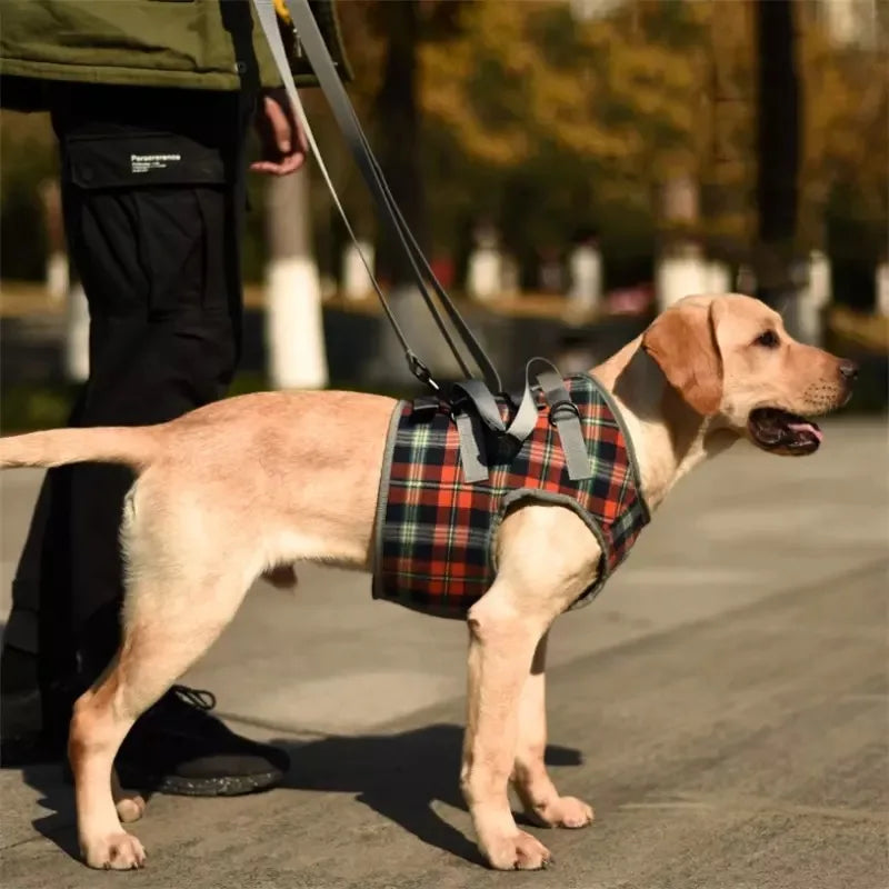 Harnais pour chien de maintient de couleur gris et rouge avec laisse de maintient pour soutenir son chien. Le chien est de couleur blanc tenu par une personne habillé en noir. Image produit Boutiquechien