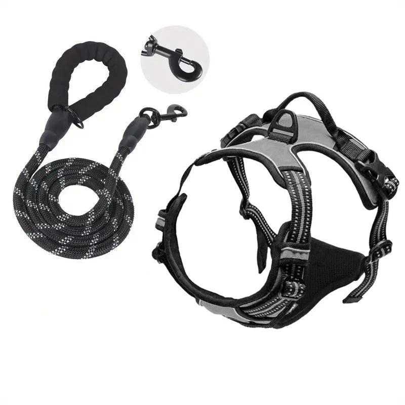laisse et harnais pour chien de couleur gris résistant et durable. Image produit Boutiquechien