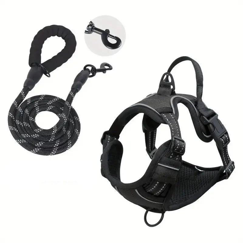 laisse et harnais pour chien de couleur noir avec laisse résistant et durable. Image produit Boutiquechien