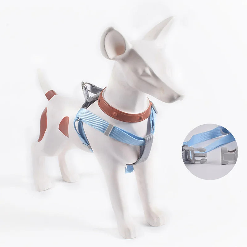 Harnais pour petit chien de couleur bleu sur n petit chien sur un mannequin. Image produit Boutiquechien