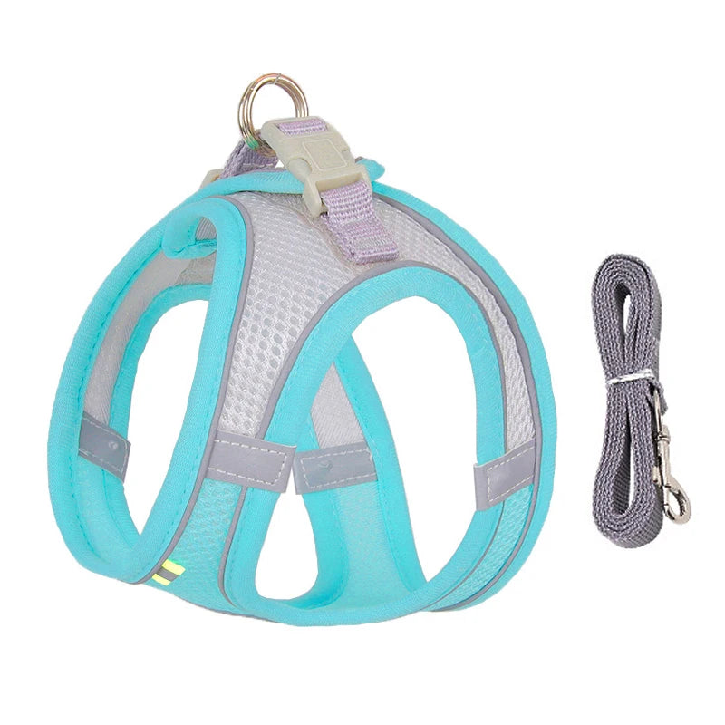 Harnais respirant chien bleu clair en nylon résistant avec laisse grise