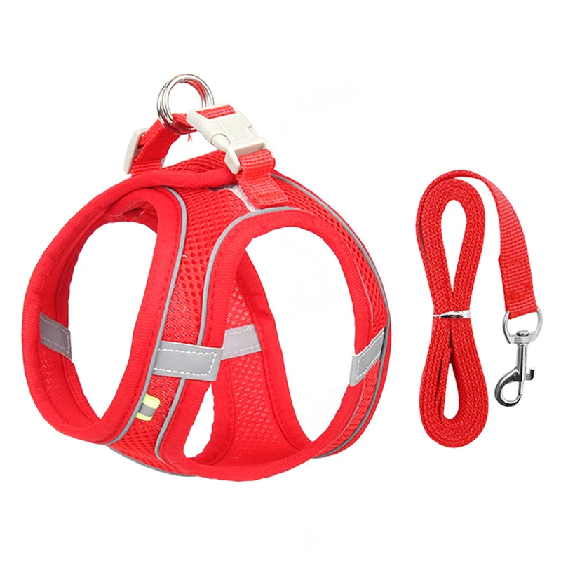 Harnais respirant chien rouge fabriqué en nylon pour petit chien avec laisse assortie