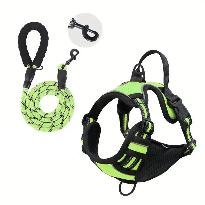 laisse et harnais pour chien de couleur vert avec laisse résistant et durable. Image produit Boutiquechien