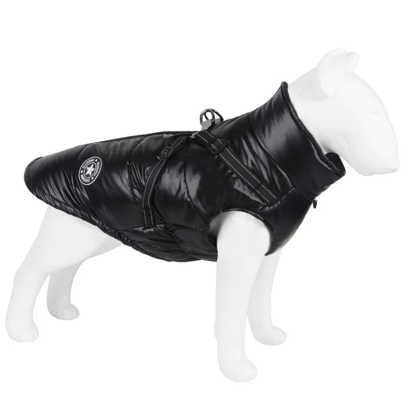 Harnais veste pour chien de couleur noir posé sur un mannequin chien. Image produit Boutiquechien