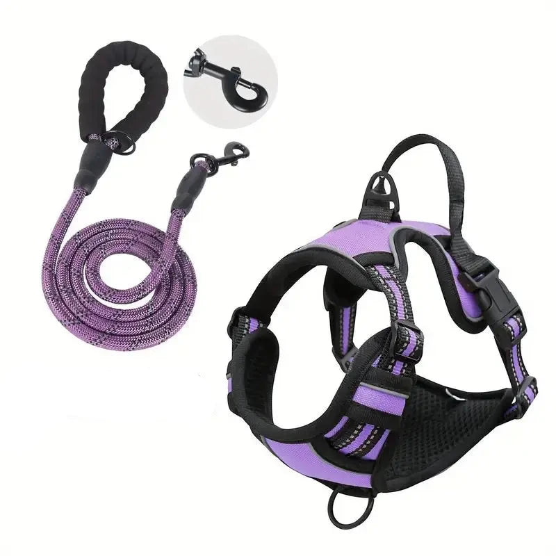 laisse et harnais pour chien de couleur violet résistant et durable. Image produit Boutiquechien