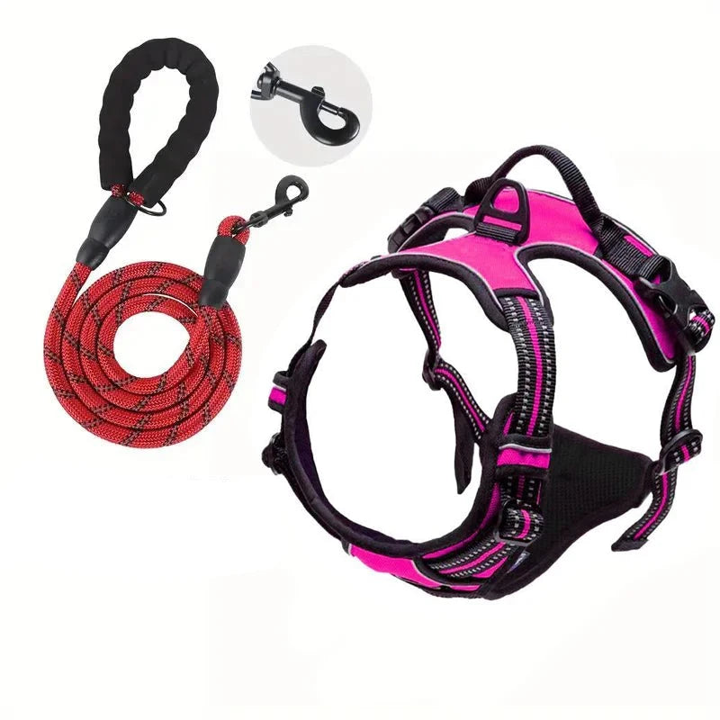 laisse et harnais pour chien de couleur violet avec laisse rouge résistant et durable. Image produit Boutiquechien