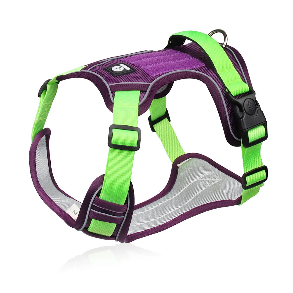 Harnais violet et vert en Y anti-traction pour chien. En nylon résistant de taille M