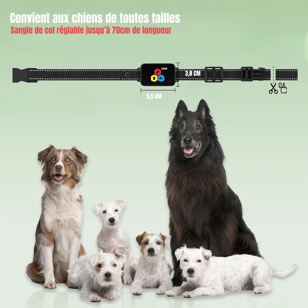 Image montrant tout les chiens de toutes tailles pouvant porter le collier chien éducatif. Image produit Boutiquechien