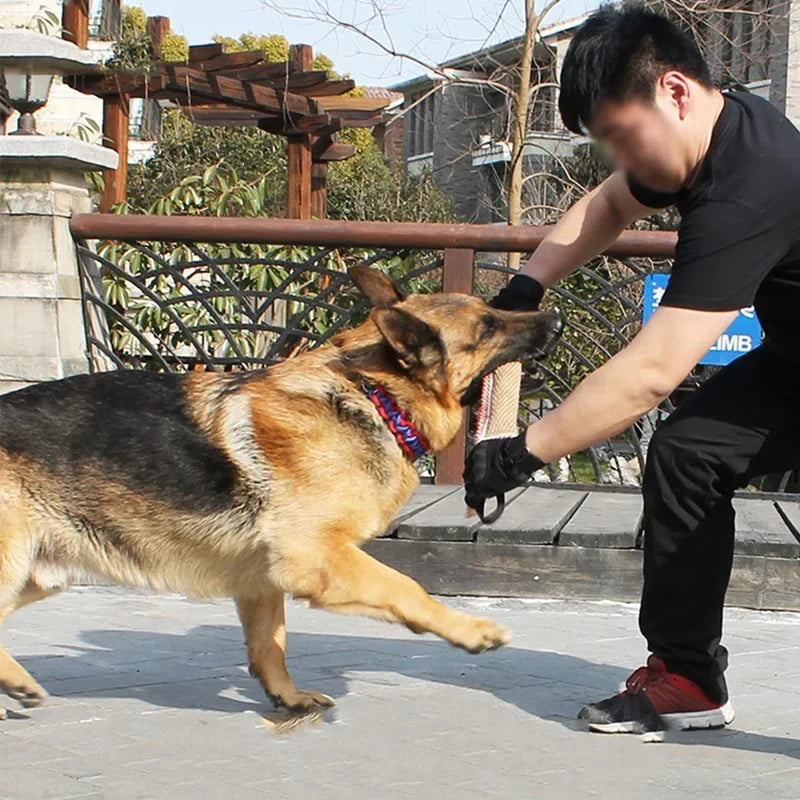 Homme entrainent son chien à la morsure avec un bâton d'entraînement de Boutiquechien
