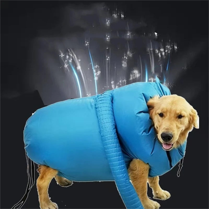 golden retriever utilisant un sac de séchage bleu spécialement utilisé avec un pulseur pour chien