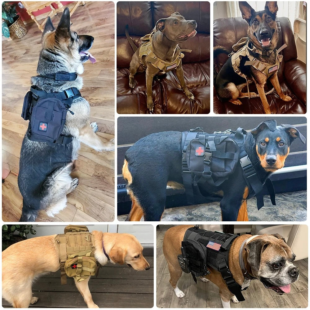 chien durable et résistant avec le harnais pour chien noir et kaki. Image produit Boutiquechien