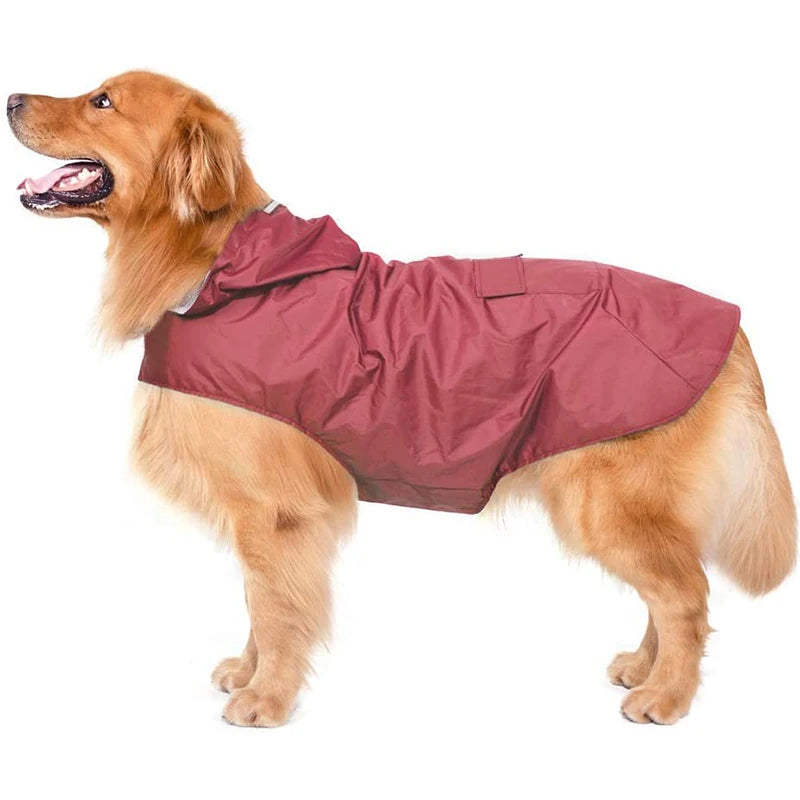Imper pour gros chien de couleur noir avec poche dorsal. Image produit Boutiquechien