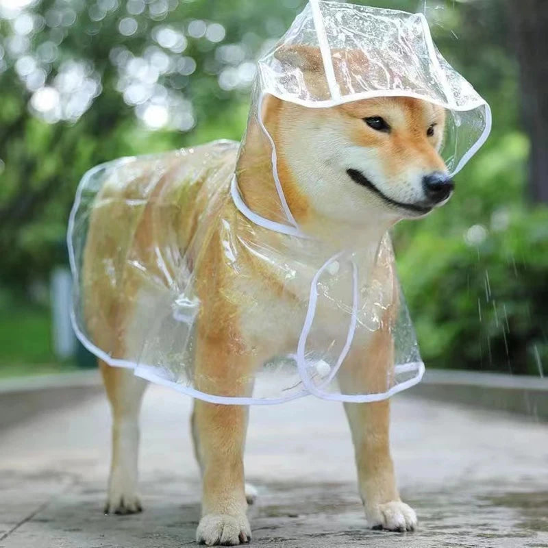 Imperméable pour chien de couleur blanc et transparent sur un shiba de couleur claire. Le shiba est dans une rue avec la pluie qui tombe avec des arbres autour. Image produit Boutiquechien