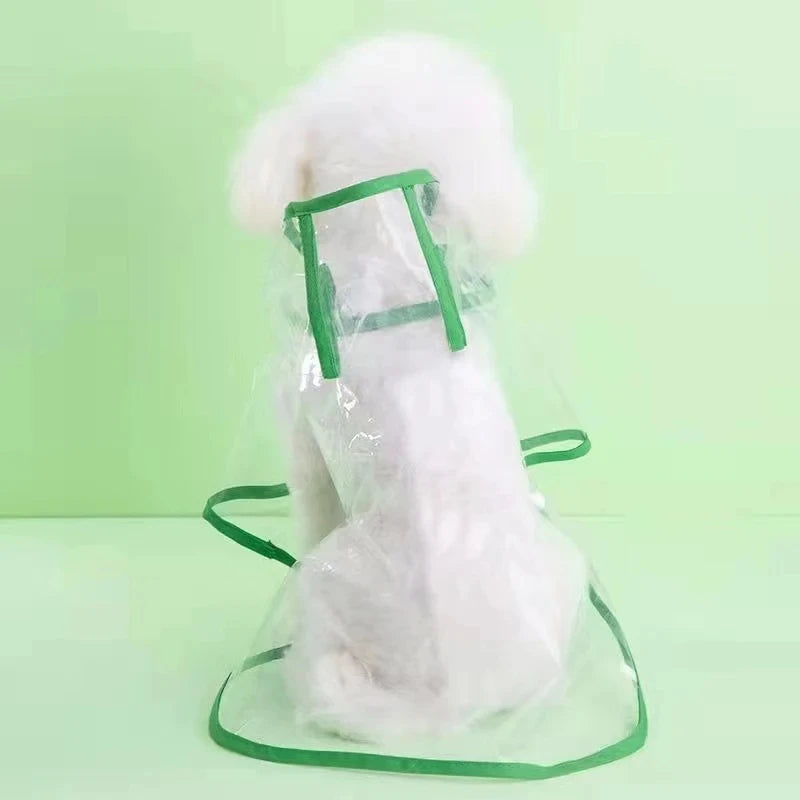 Imperméable pour chien de couleur transparent et bleu. Le chien blanc est assis de dos. Image produit Boutiquechien