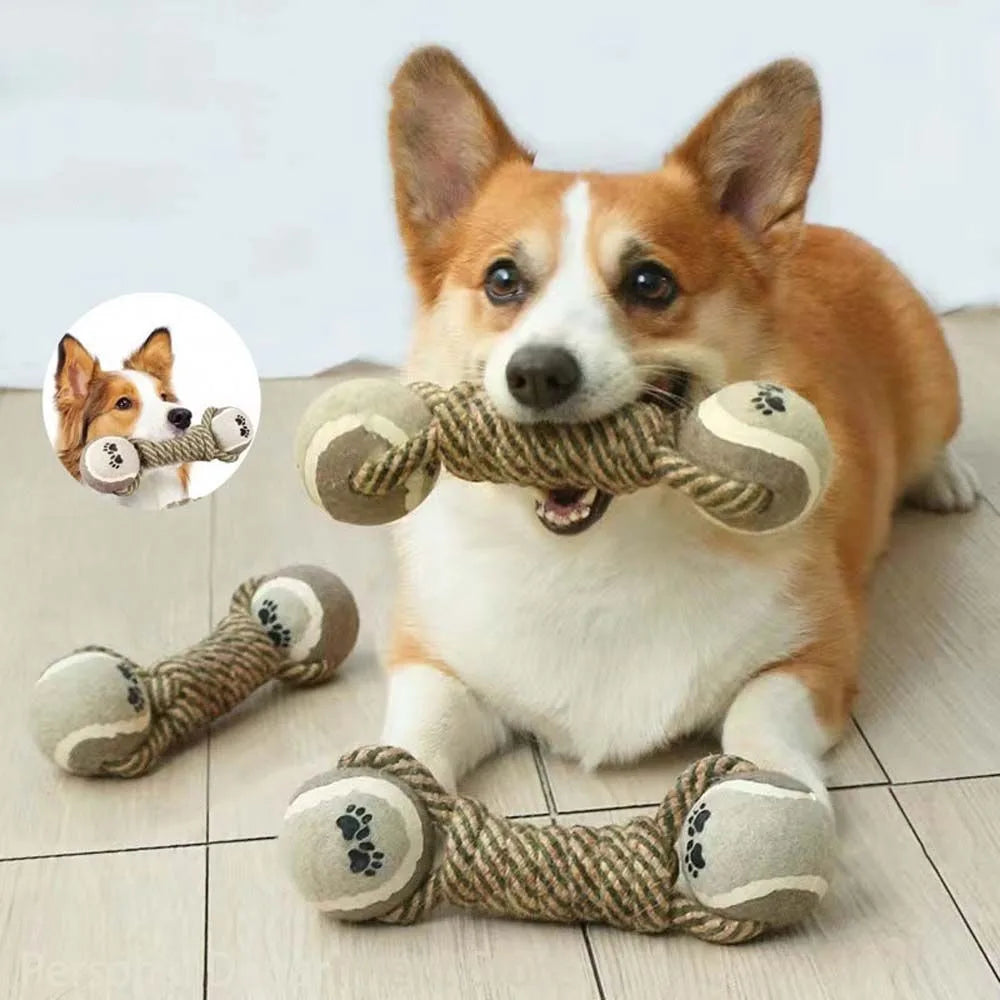 Corgi couché sur le sol blanc jouant avec ses jouets en os à balle de tennis. Image produit Boutiquechien