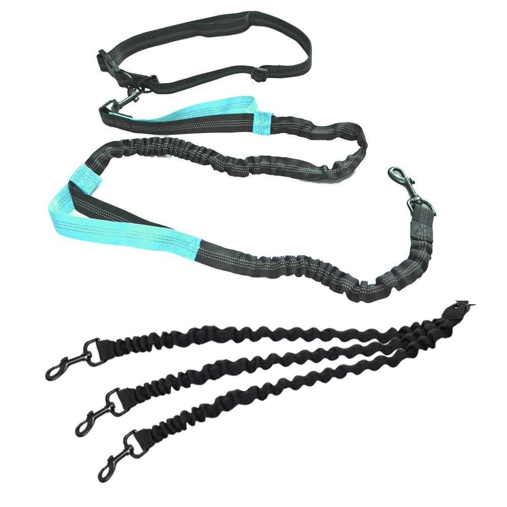 Laisse main libre chien de couleur noir et bleu. Le produit est super si vous voulez courir avec trois chien. Image produit Boutiquechien