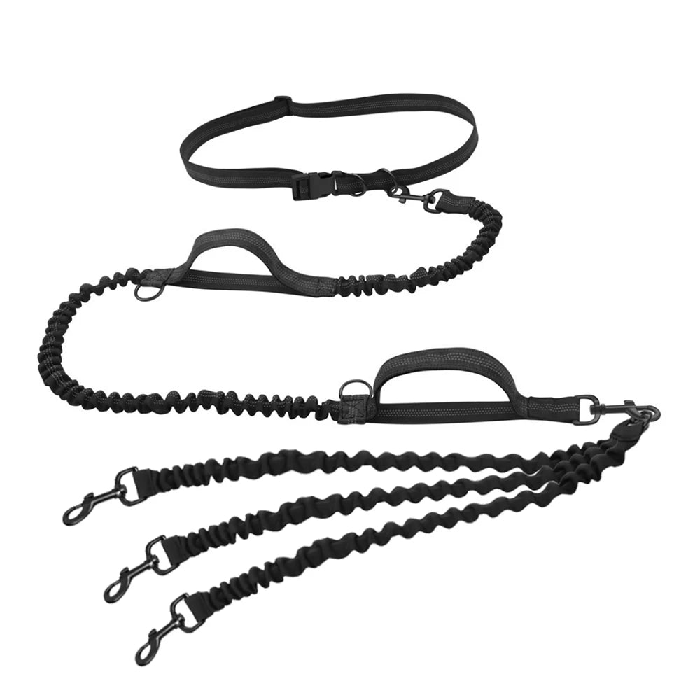 Laisse main libre chien de couleur noir. Le produit est super si vous voulez courir avec trois chien. Image produit Boutiquechien