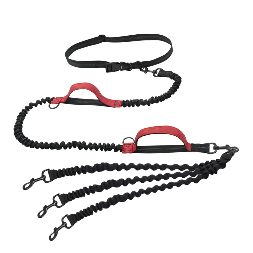 Laisse main libre chien de couleur noir et rouge. Le produit est super si vous voulez courir avec trois chien. Image produit Boutiquechien