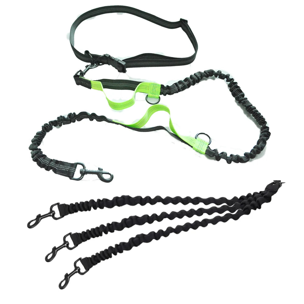 Laisse main libre chien de couleur noir et vert. Le produit est super si vous voulez courir avec trois chien. Image produit Boutiquechien