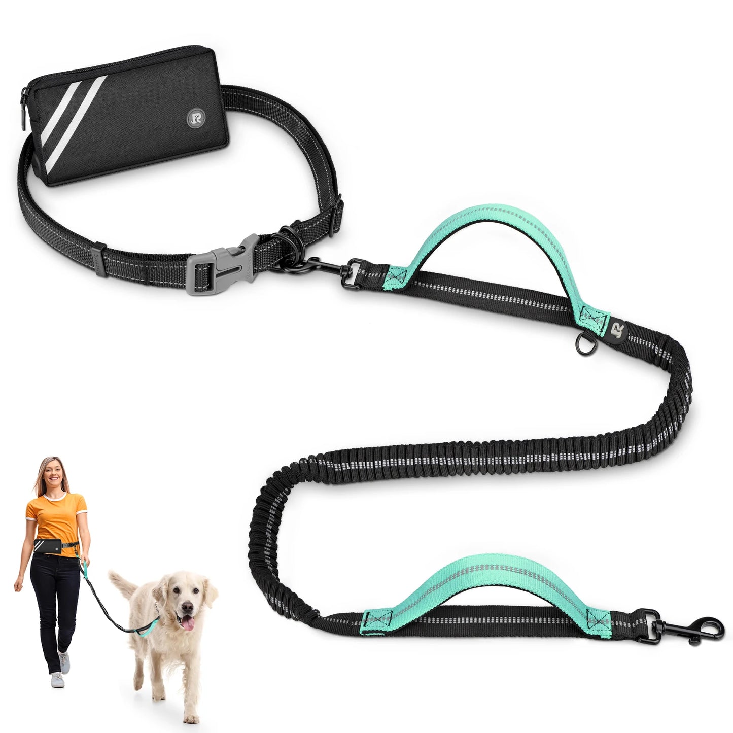 Laisse canicross gros chien turquoise et noir