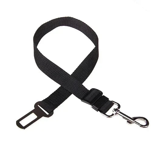 Laisse ceinture chien noir de boutiquechien