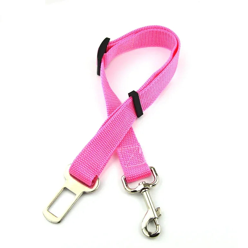 Laisse ceinture chien rose foncé de boutiquechien