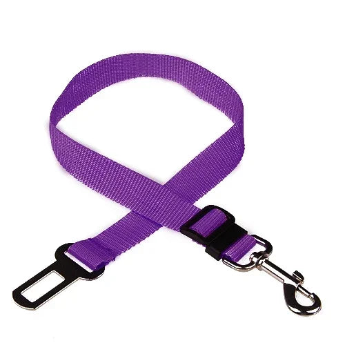 ceinture de sécurité de couleur violet pour chien de boutiquechien
