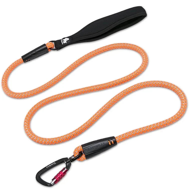 Laisse chien corde escalade orange
