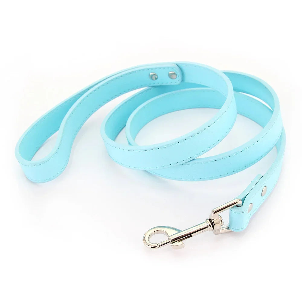 Laisse pour chiot de couleur bleu style cuir. Parfait pour promener un chiot facilement. Image produit Boutiquechien