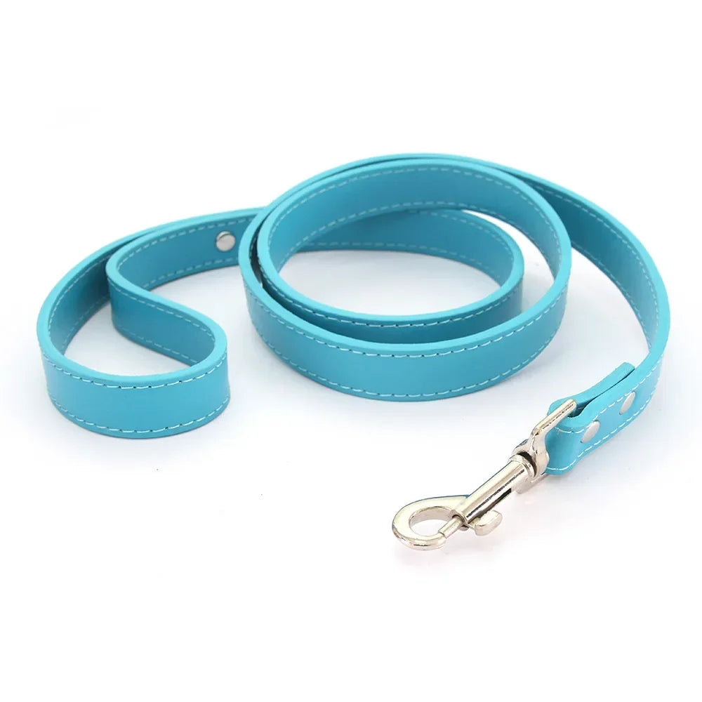 Laisse pour chiot de couleur bleu style cuir. Parfait pour promener un chiot facilement. Image produit Boutiquechien