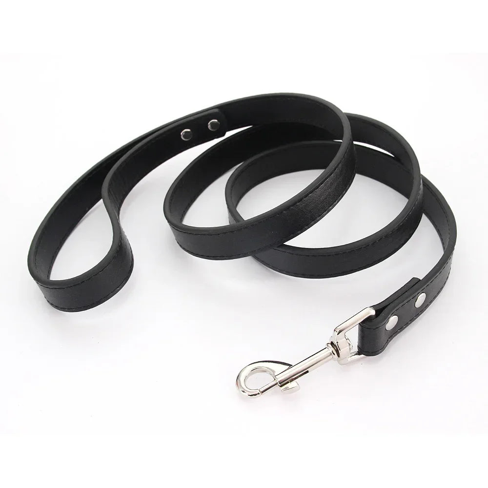 Laisse pour chiot de couleur noir style cuir. Parfait pour promener un chiot facilement. Image produit Boutiquechien