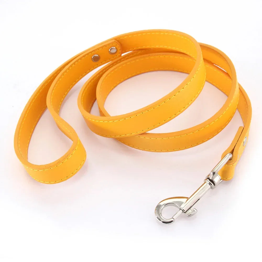 Laisse pour chiot de couleur orange style cuir. Parfait pour promener un chiot facilement. Image produit Boutiquechien