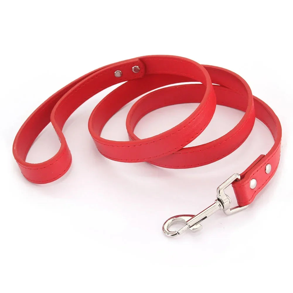 Laisse pour chiot de couleur rouge style cuir. Parfait pour promener un chiot facilement. Image produit Boutiquechien